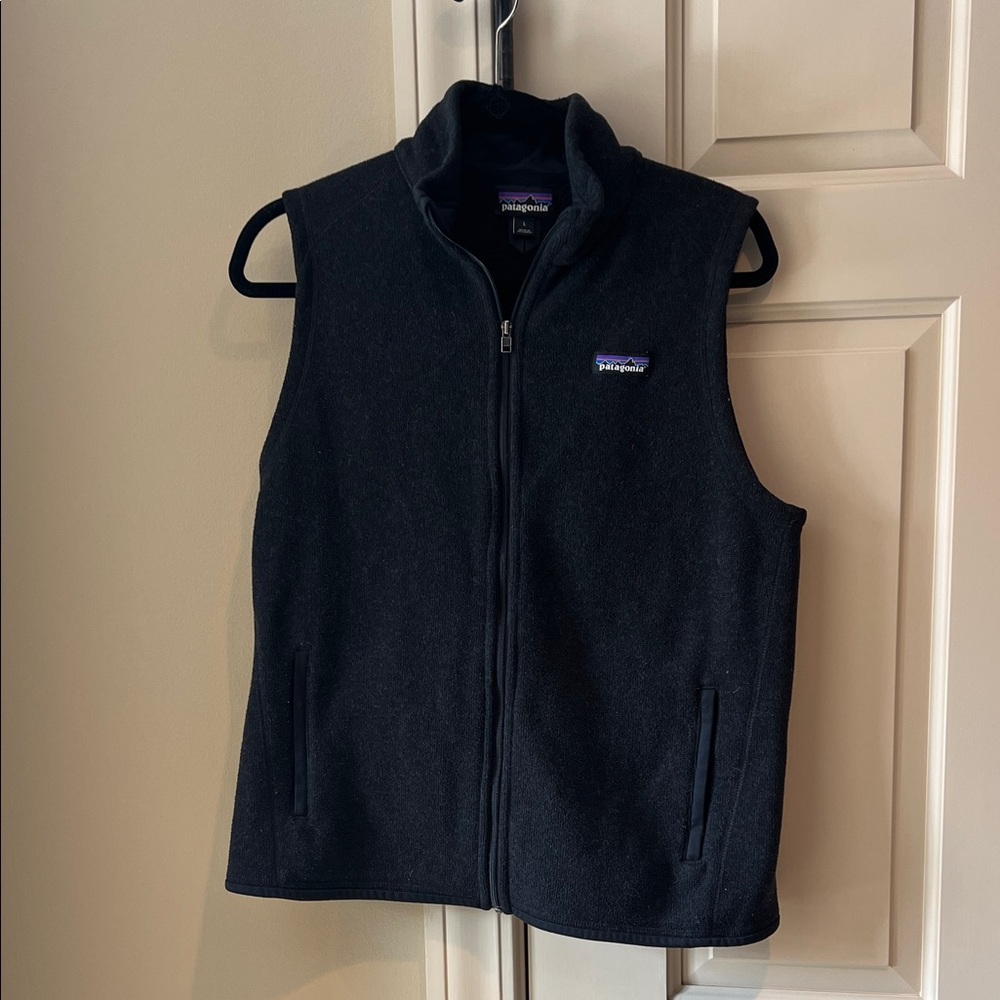Patagonia Dark Fleece Vest